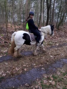 Meer over mij pony